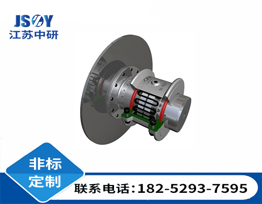 T63帶制動盤型蛇簧聯(lián)軸器